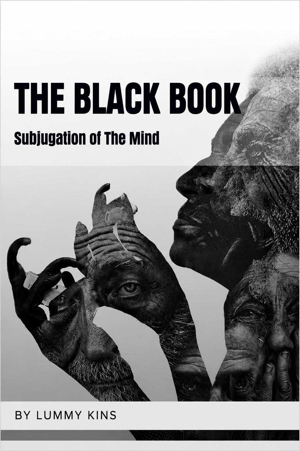 The Black Book cover